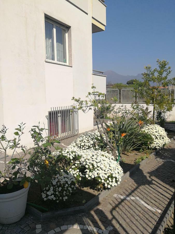 Bed and breakfast Area Domus 2*